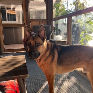 Meet your Posher, Keye